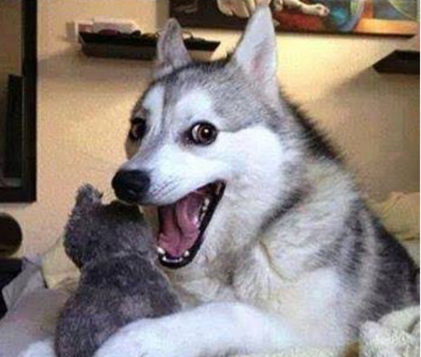 Me sacaron del grupo familiar
Mi tío dijo: “La familia es sagrada!”
Y yo: “Si, por eso tienes dos.”
Y pum! Que me sacan… 😅