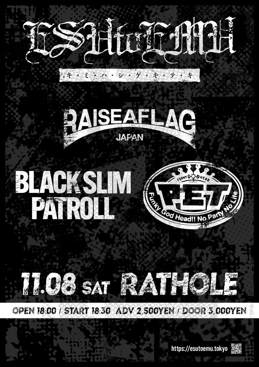 RAISE THE FLAG LIVE PHOTO BOOKおまけ付き Amazon.co.jp: RAISE YOUR BLACK FLAG The Birthday TOUR VISION