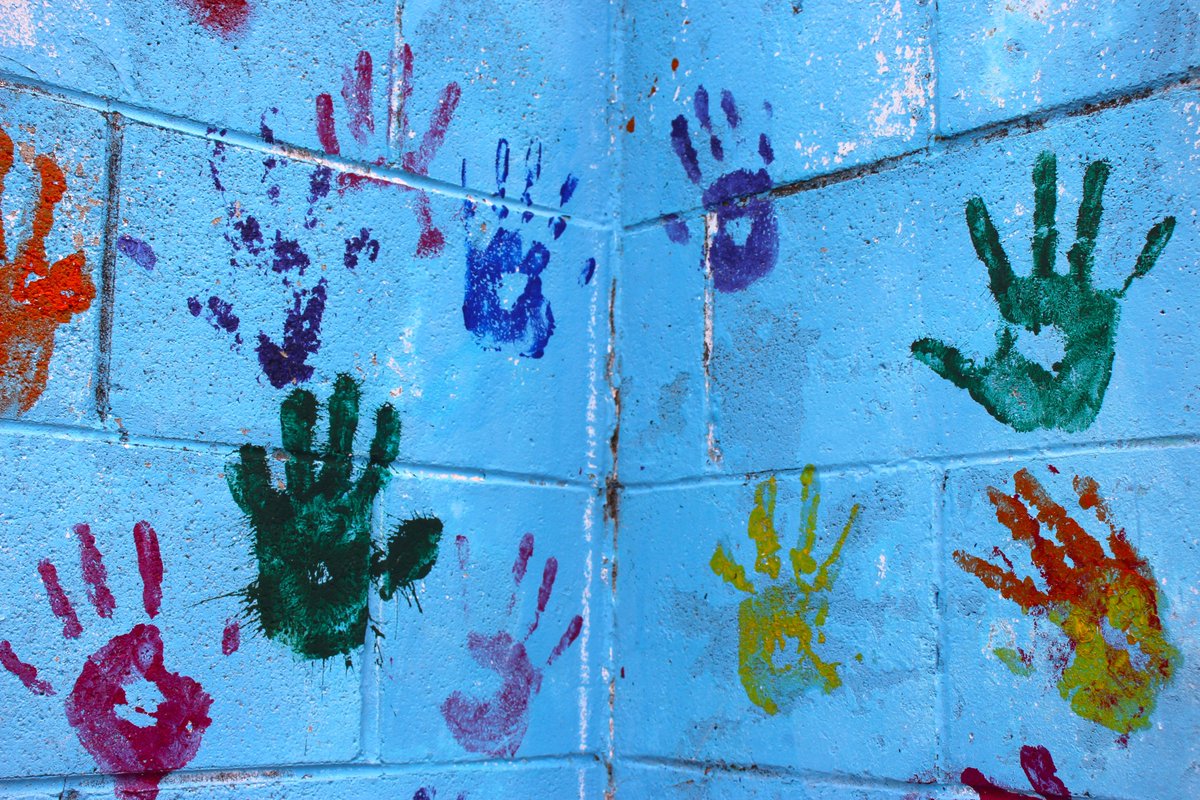 Rangahau Mātauranga o Aotearoa (NZCER) tweet media