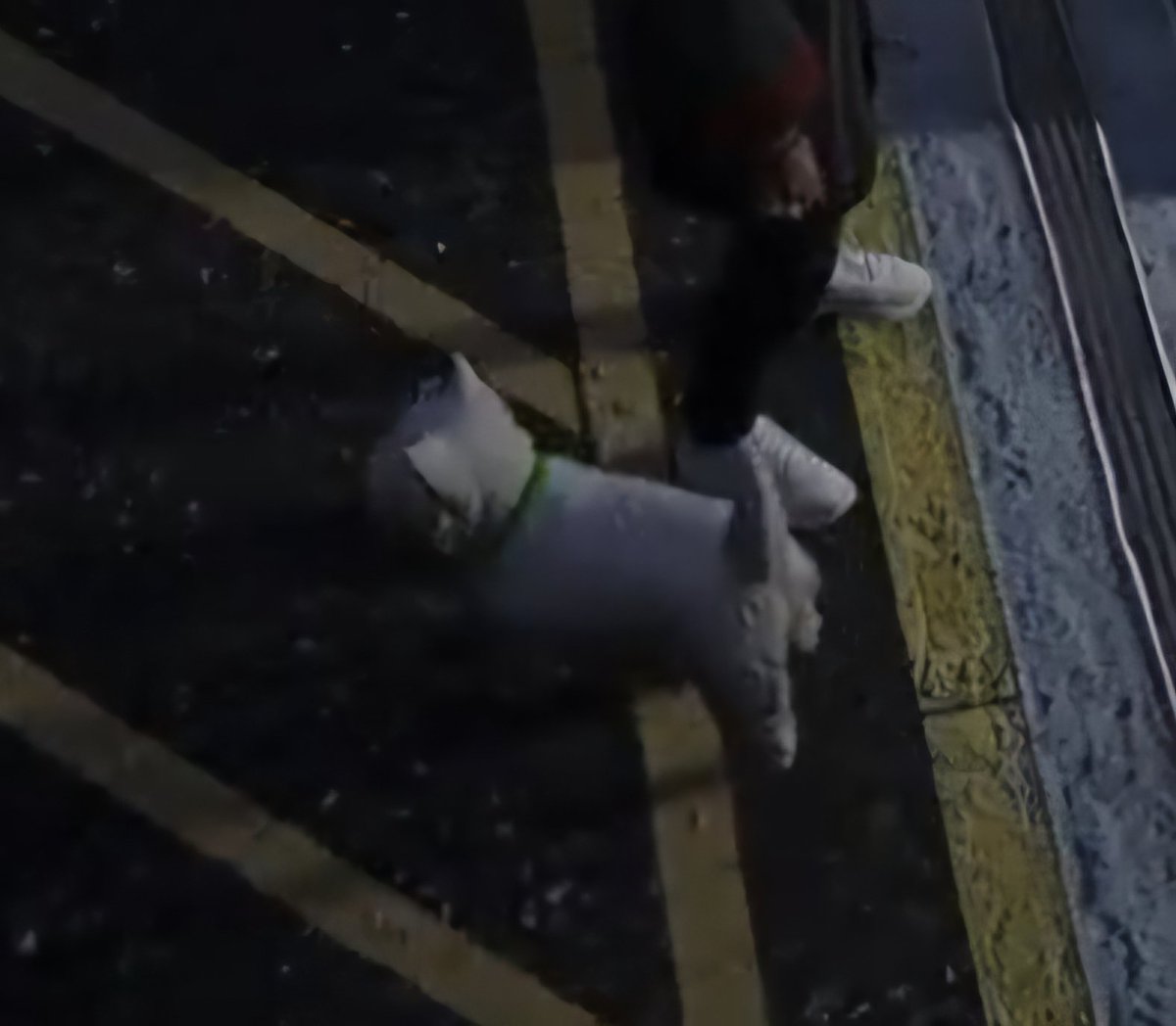 Michifu me recuerda a Sam Trucazo