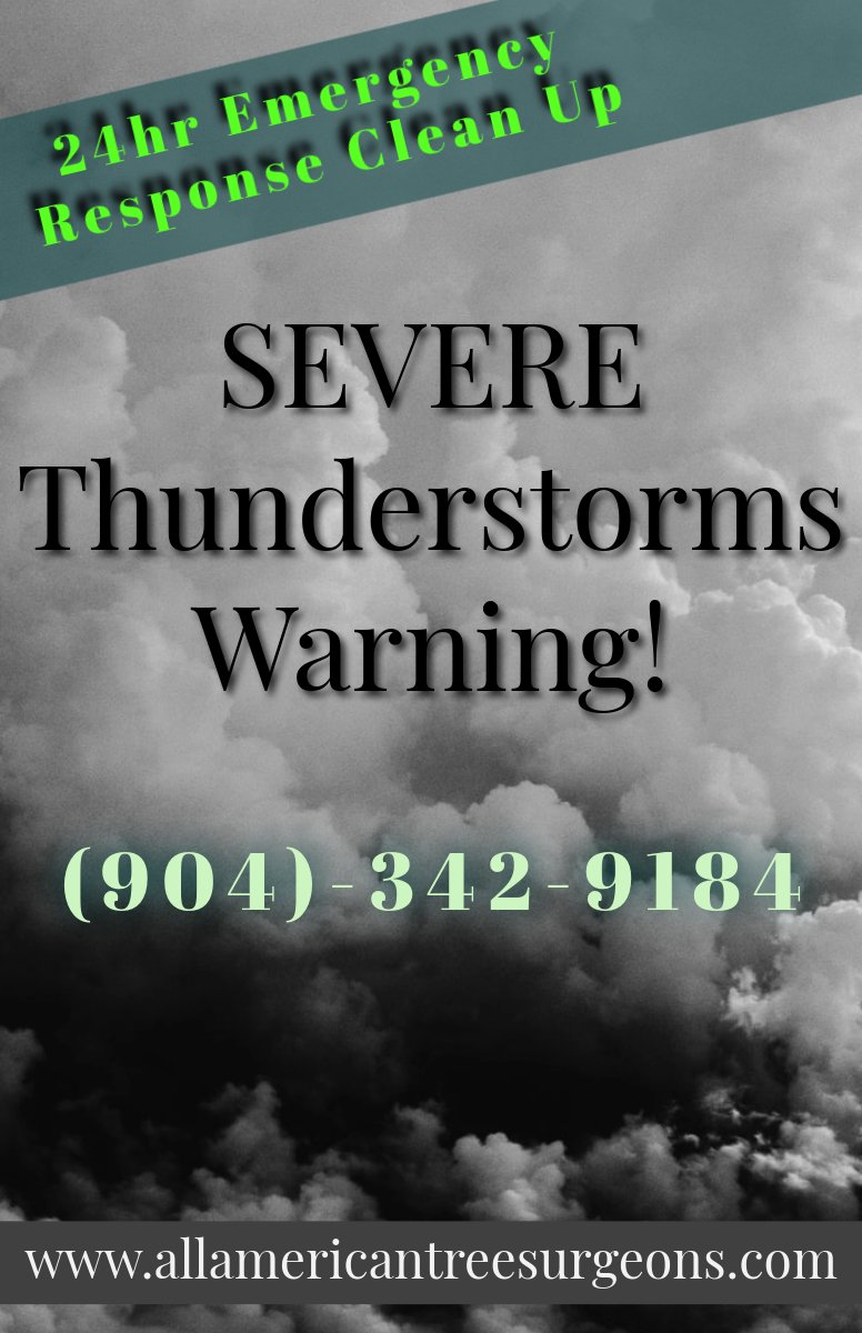 TreeShane's tweet image. Recover from the Storm with All American Tree Surgeons.
Get your yard back – fast! Contact us: 904-342-9184 
See our full range of expert tree services: allamericantreesurgeons.com