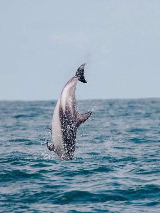 If I can’t see Monday, Monday can’t see me 🙈