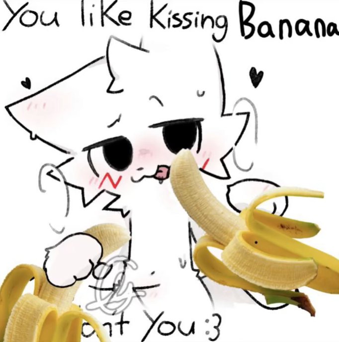 Daily Aiko Esquecer River tweet media