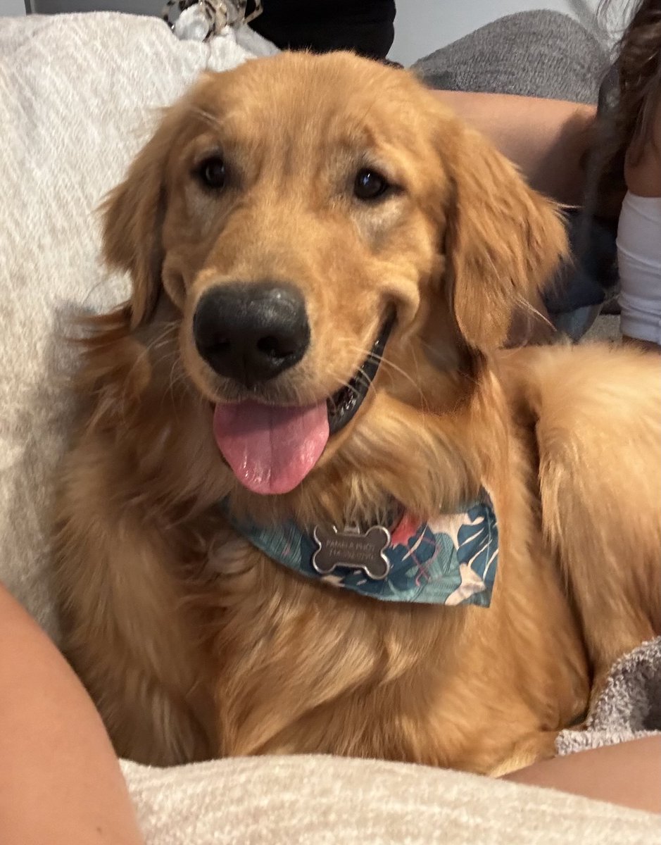 therealpartypam's tweet photo. my baby is almost 10 months. I love you buddy, you bring so much happiness into our lives ❤️ https://t.co/tH7LI5tQ7u