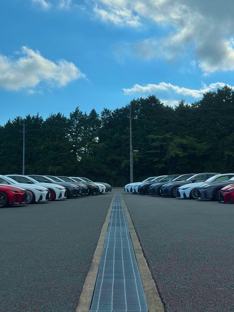 Maverick. tweet media