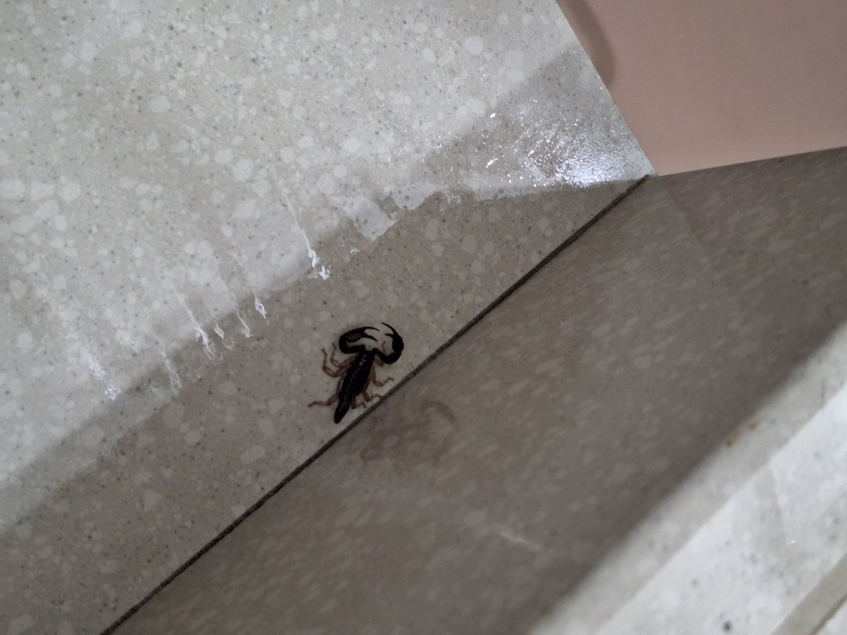 Додека вие сликате  црвени месечини, ја се борам со чудовишта