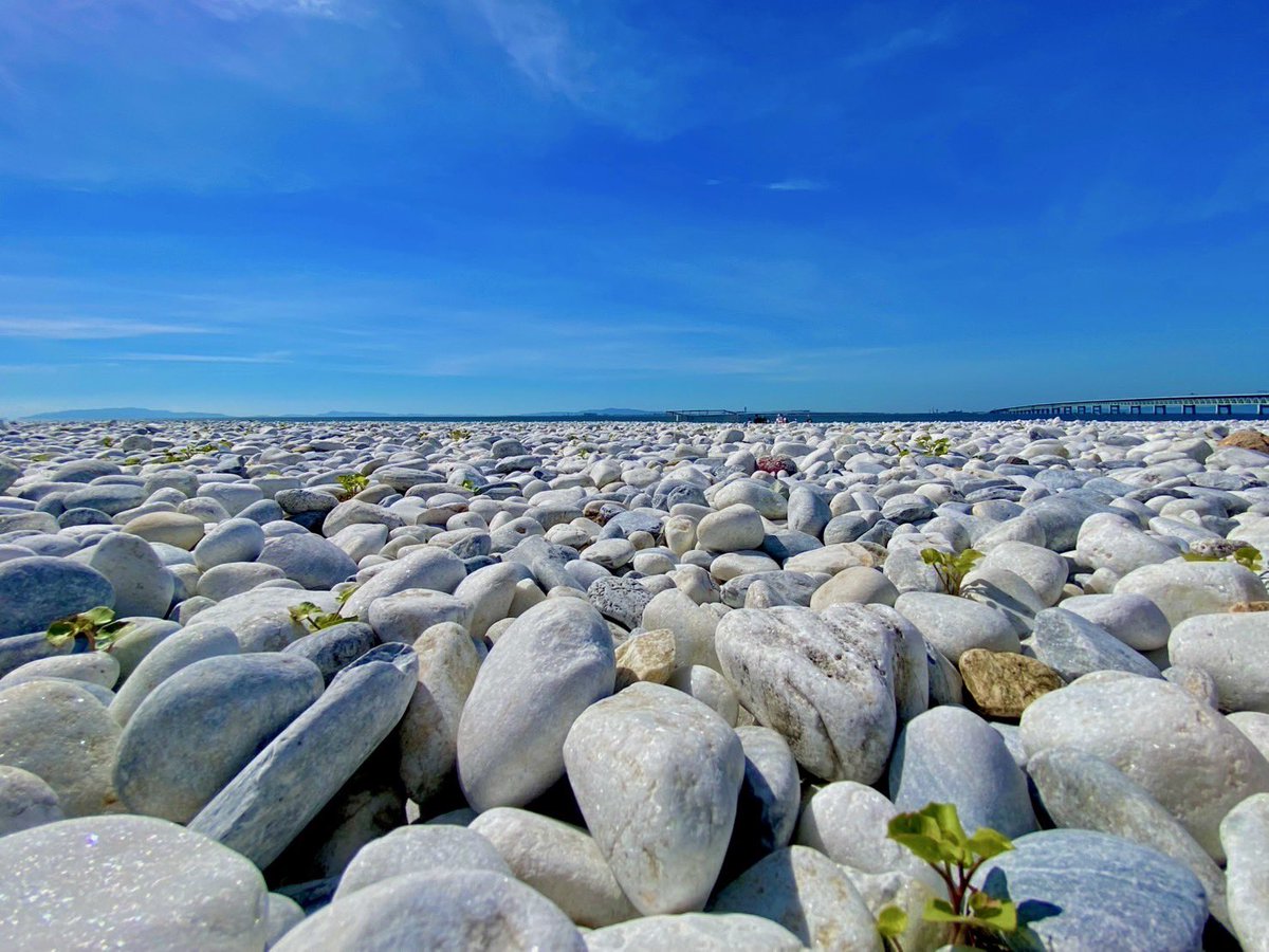 harukakiuchi418's tweet image. 木下グループ杯での応援、本当にありがとうございました。

P.S.:SPがシゼロン先生、FSがランビエール先生の振付です。

#サンスター株式会社
#SUNSTAR
#OBカープ共同会社
#宮川接骨院
#垣内珀琉
#harukakiuchi
#ひょうご西宮fsc
#フィギュアスケート