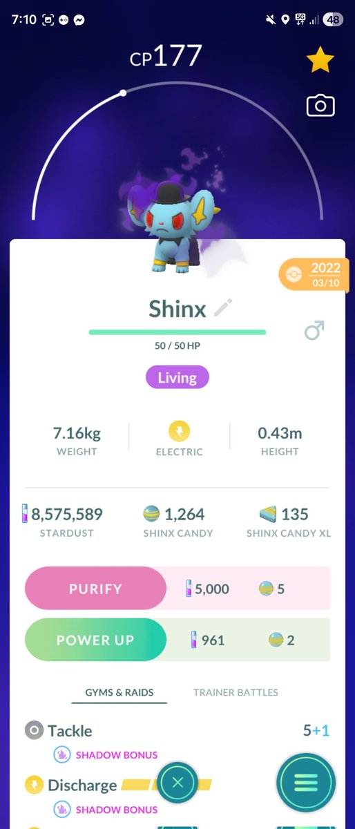wicked9090's tweet photo. @soumanbou720 Costume Nundo Charmander or Shadow Costume Shinx are sick!
Also Shundo Celebi https://t.co/o5a8Wfs2Kq