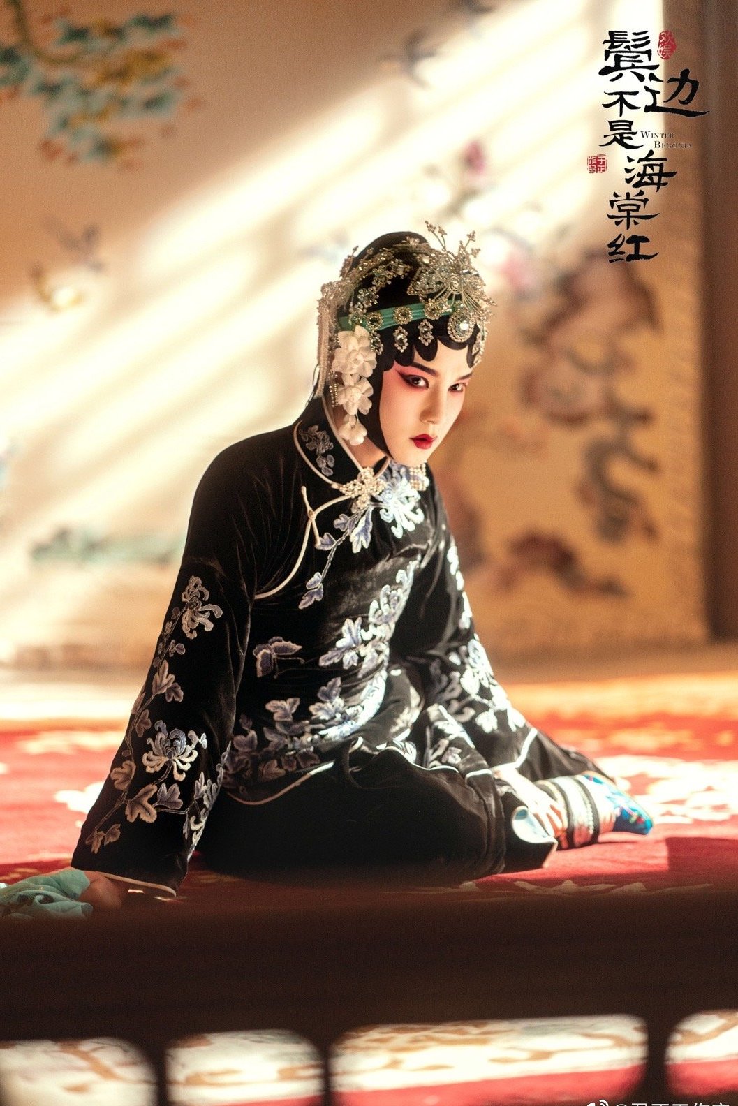 君、花海棠の紅にあらず
dvd
全巻セット全25巻
中国ドラマ キャスト・スタッフ｜中国ドラマ「君、花海棠の紅にあらず