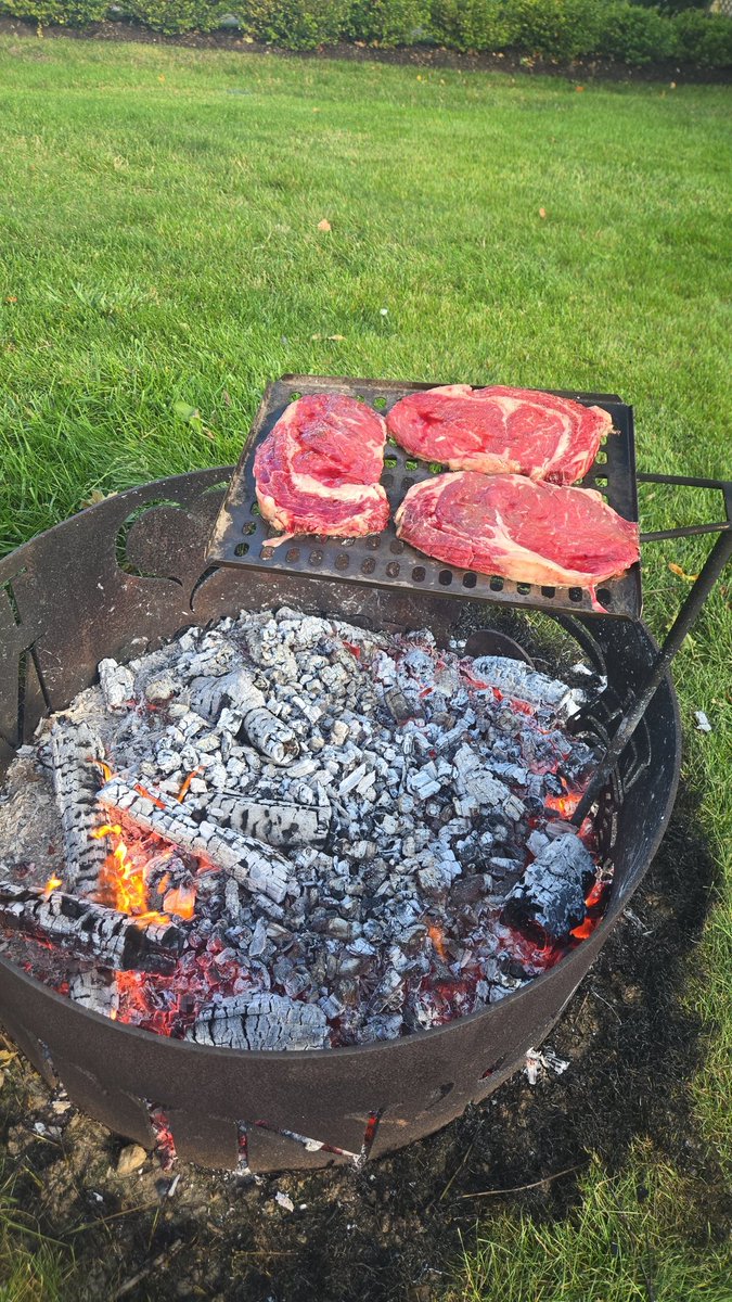 Some home grown <a href="/ONCornFedBeef/">OntarioCornFedBeef</a> rib eye, that's what's for dinner. Put steak on your plate