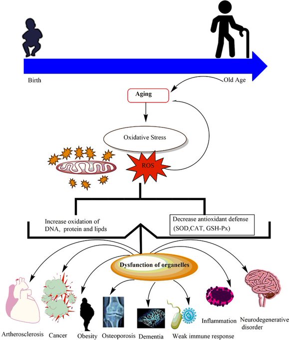 Image in tweet by Analyze & Optimize