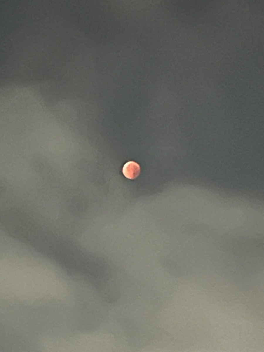 おはようございます☀

今日は　9月8日 月曜日 です
　日の出　  5:18
　日の入り17:59
また満月🌕で大安です🎶
中秋は10/6になります🌕

未明の皆既月食見ましたか？
たまたま起きて見ました💦

千葉市の今日の気温は
最高34℃ 最低26℃

熱中症にはお気をつけ下さい🙏🏻

今日もがんばりましょう💪🏻