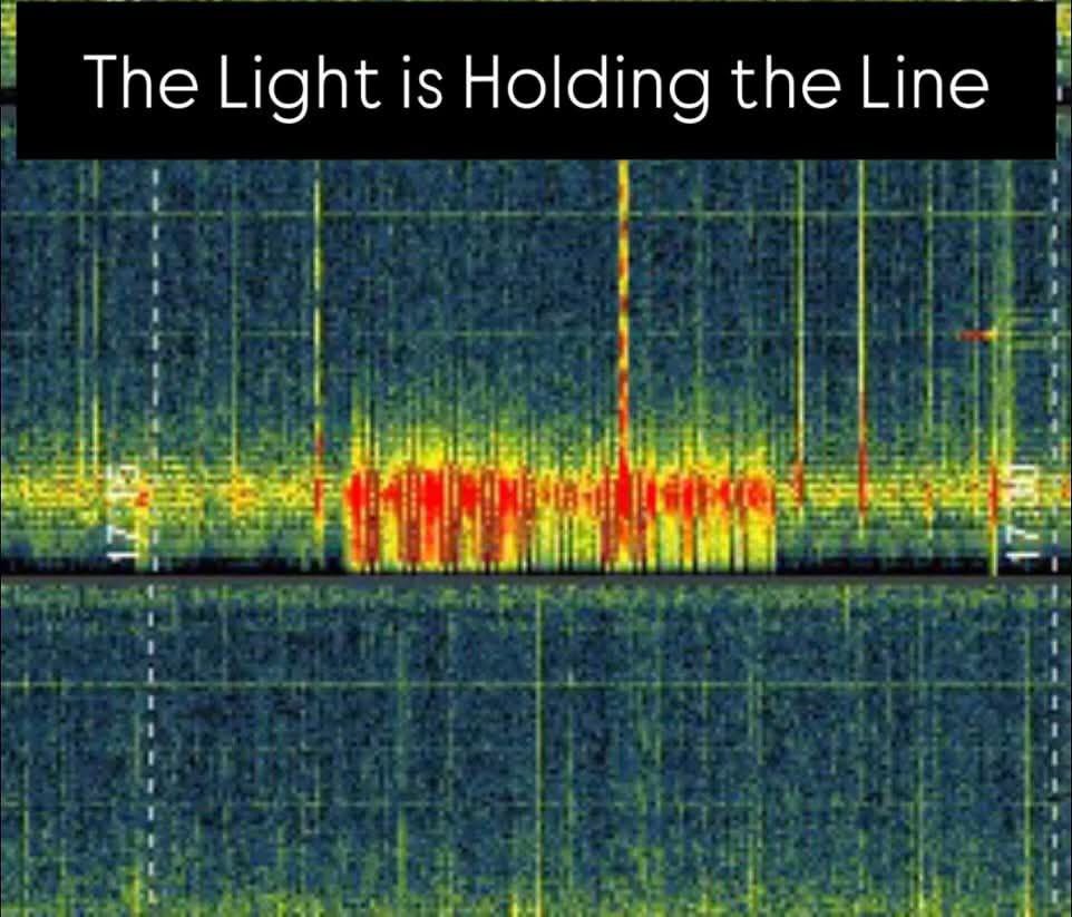 Incredible! These last Schumann reports show what appears to be a group of beings holding hands together- as if they’re holding the line for the lightworkers to step in. This feels like Star family and they are here to help us shift!! ✨