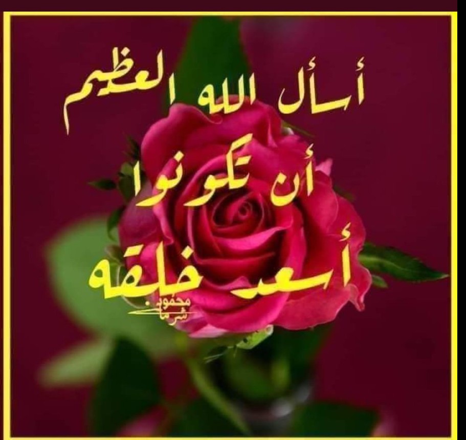 تصبحون على خير يارب 🌸🪷