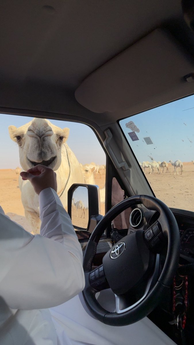 vi3999's tweet photo. قالت لي إرحب تراحيب الحيا من صدوق الرعود
جيّتك هذي ترانا من زمان متحرّينها

و الحب شرٍ على حمّ الذرى قاسيات الكبود
و شلون ما يجرح اللي قلبها أرقّ من عينها. https://t.co/DgaxAdrrej