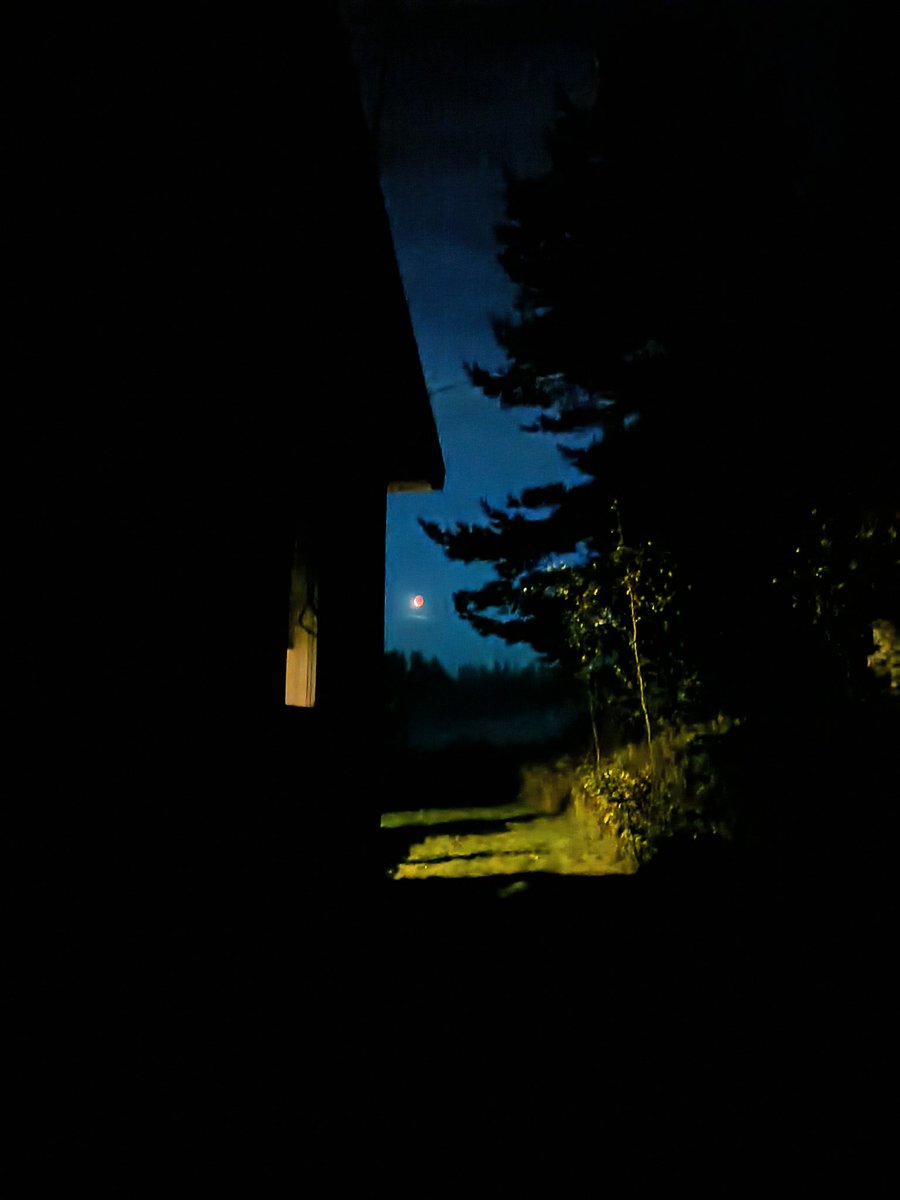 kristallnaach's tweet photo. #Mondfinsternis #Vollmond #Mond
..besser spät als nie..vorher Nebel..
#Stuga im 🌳 #Wald am 🌊 #See
fast #Alleinlage #Elchenländle25
#Schweden 🫎 😜 🇸🇪 #Värmland https://t.co/TFH3cDiRBC
