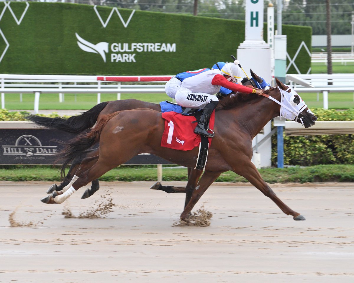 Bold Advance, with <a href="/ivanPimentelJr/">Ivan Pimentel Jr</a>, surges late to win race 9 for trainer <a href="/VictorEBarboza/">Victor Barboza Jr</a>. #GulfstreamPark #SunshineMeet