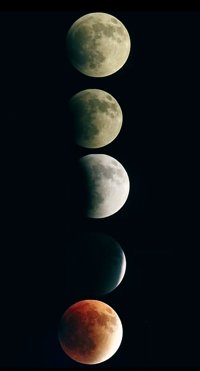 n0sh_R's tweet photo. @gorgeous4ew https://t.co/ECSAWFirtP