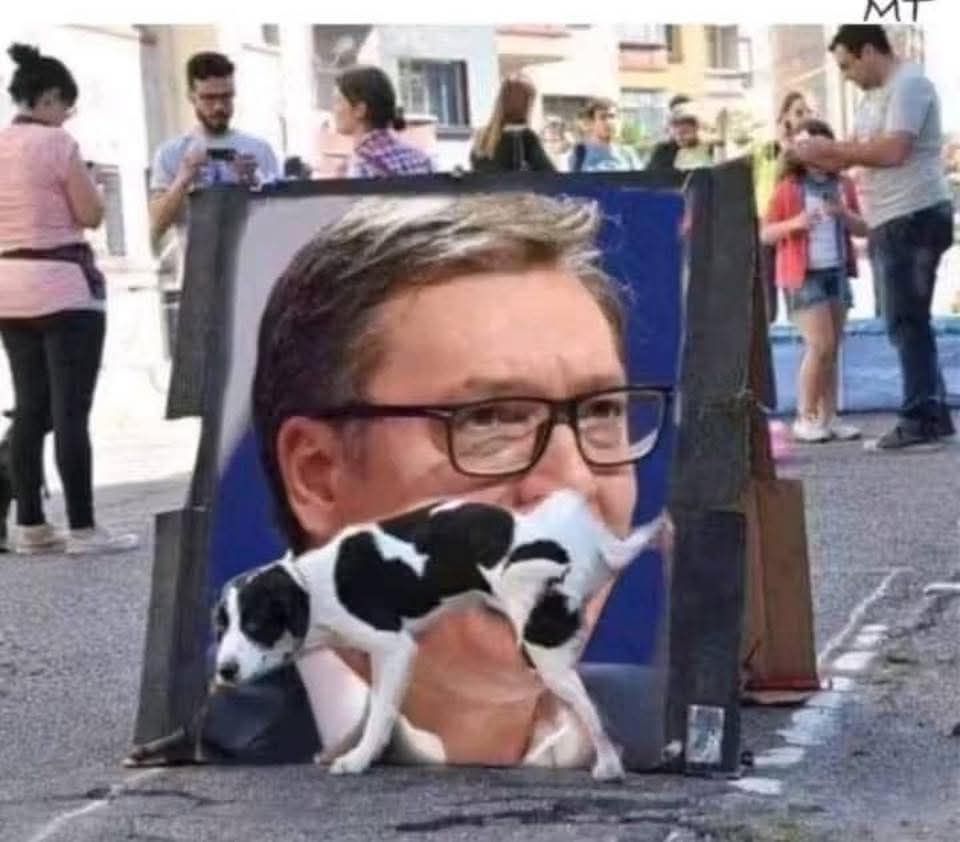 rot - frajer tweet media