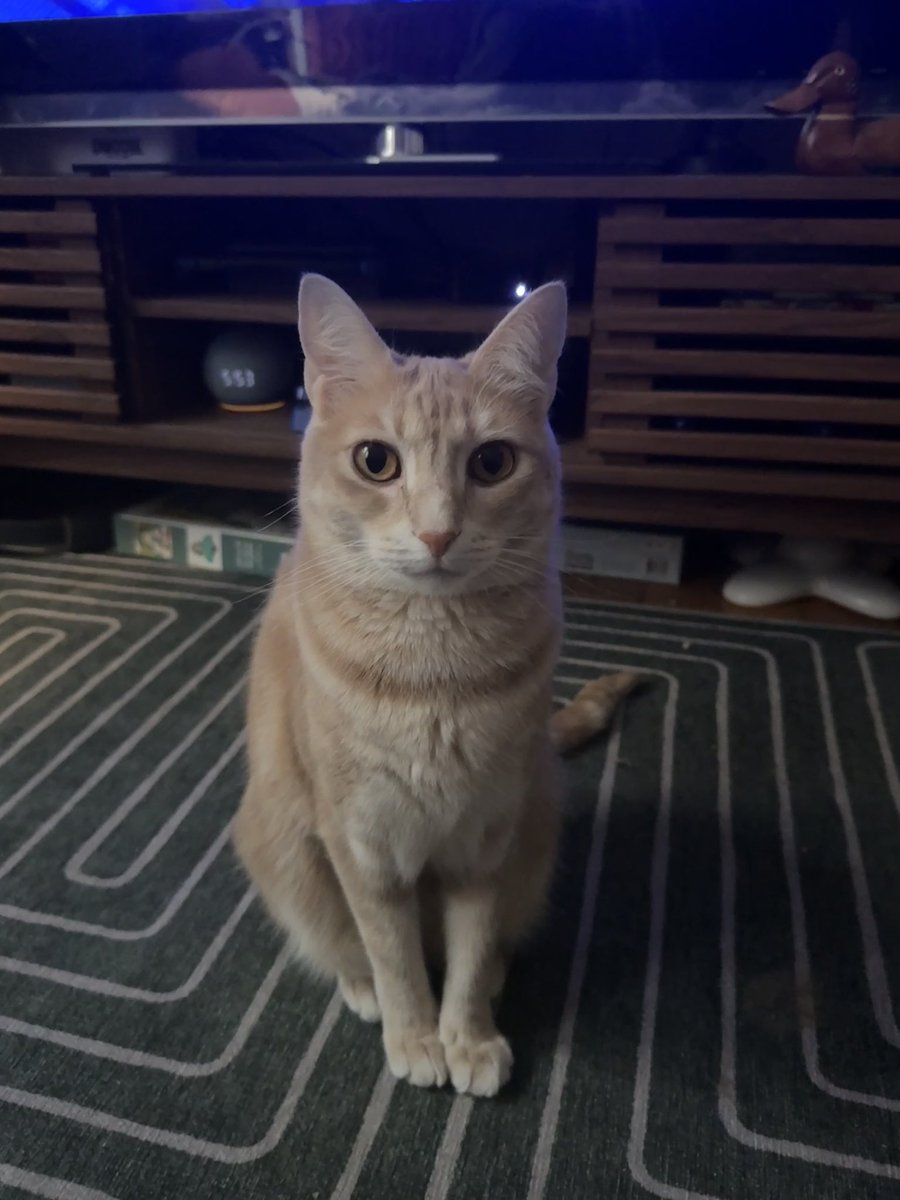 kylie 🥸✨ tweet media