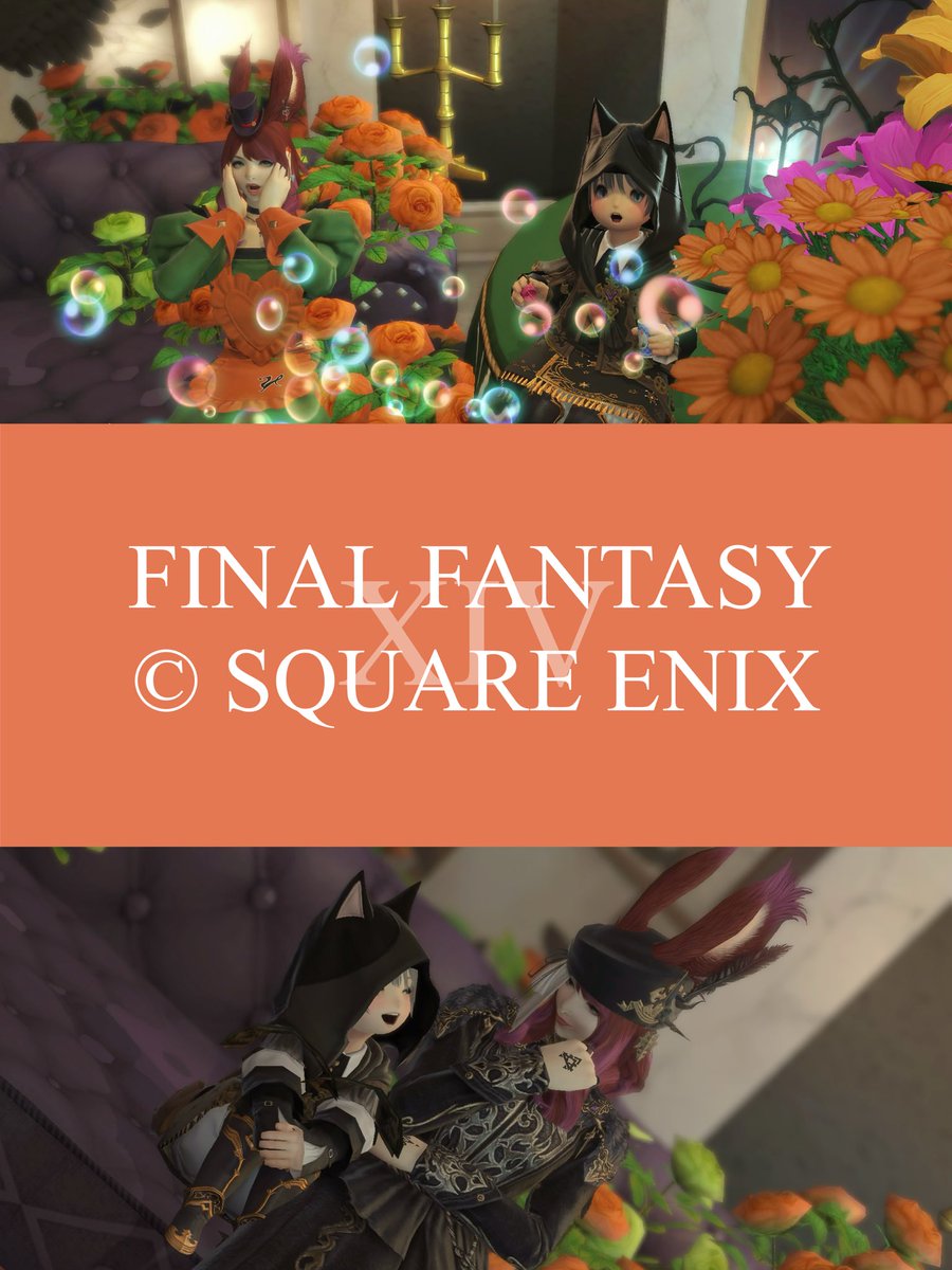 𝔾𝕠𝕠𝕕 𝕄𝕠𝕣𝕟𝕚𝕟𝕘🐰🐥🎃✨

昨日はお出かけ先でしゃとちゃんを発見して突撃･:*三( o'ω')o

いっぱいお話出来たし素敵なスタジオにもお邪魔出来たし大満足✨
突然だったのに快く構ってくれてありがと〜️🩵

 #Shatoの小部屋_FF14

 #おはララ  #ララフェル  #lalafell 
 #FF14SS