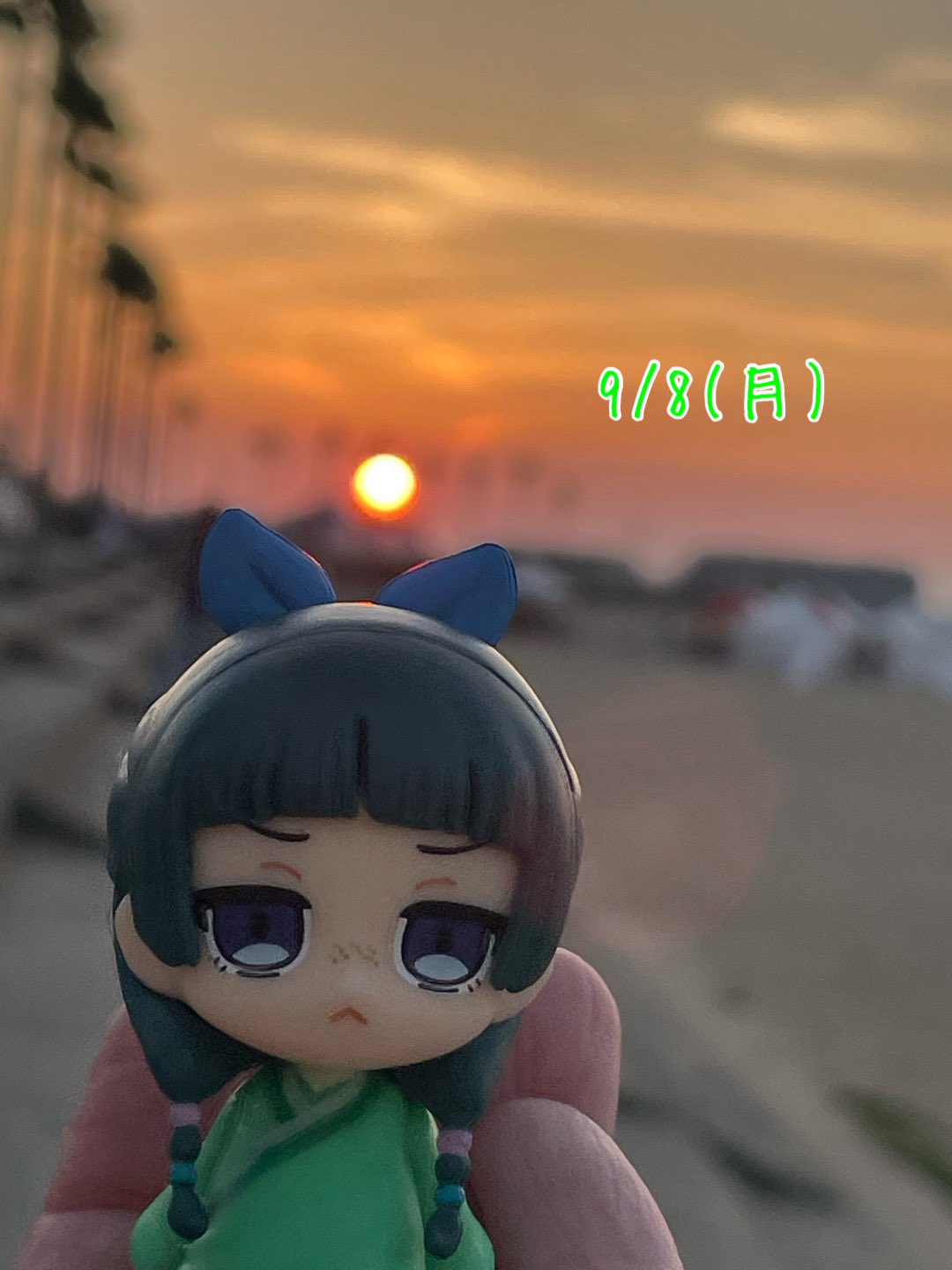 猫猫 - Search / X