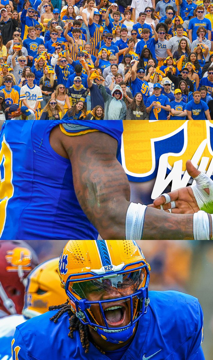 Pitt Panthers tweet media