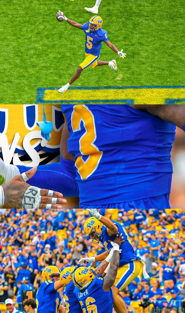 Pitt Panthers tweet media