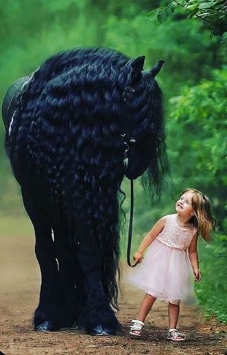 LaughMustafa's tweet image. Oh my horse, so then what happened? #imagination