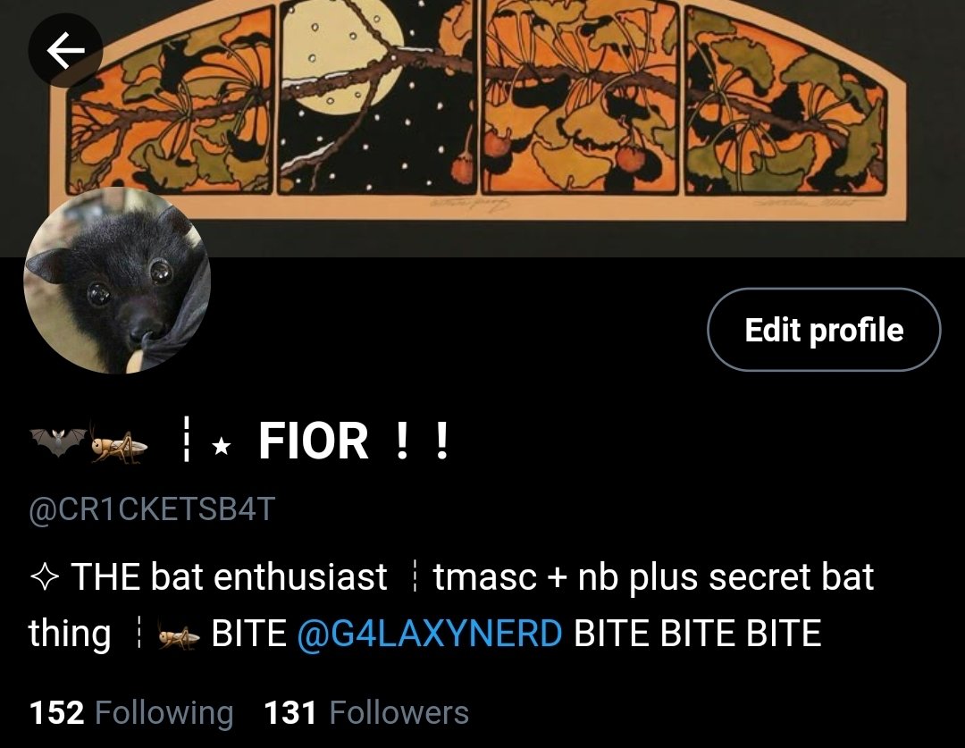 WH1MMS0RNF4NGS's tweet image. GalaxyMyths twt accounts hahaha....... 

🌌🦇 [ #GalaxyMyths #OcxCanon #AdoptMeNPC ]