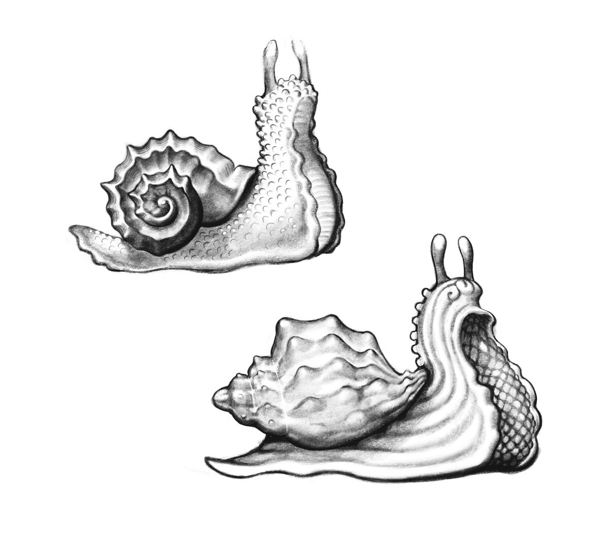 Let's remind ourselves how does the finished snail grinder concept art look like 👀
Show him some love in comments, and I will show you the others soon! 😳