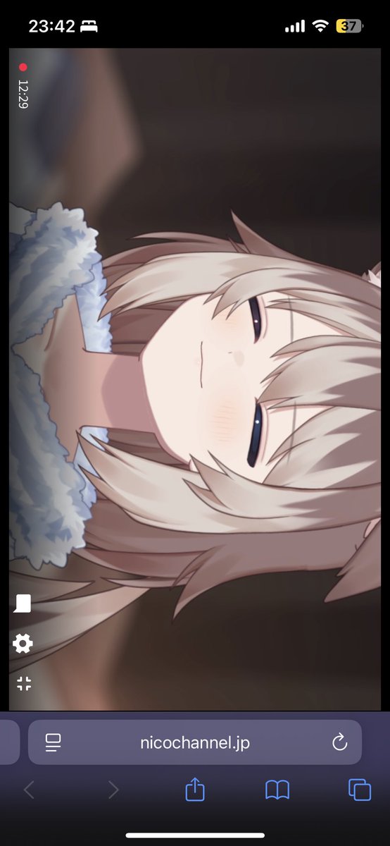 昨日のニコニコのるいち
#はすきすき