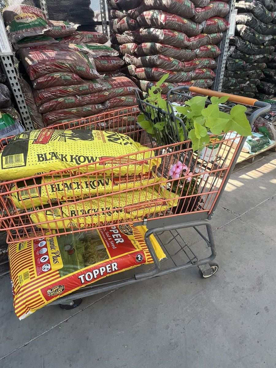 I celebrate the completion of a writing project in keeping with the tradition of my people (lesbians)