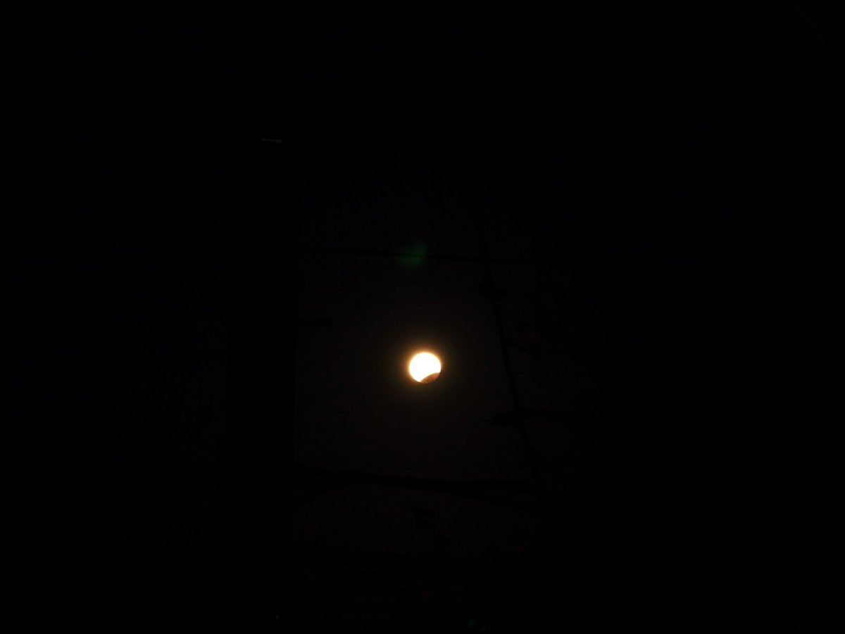 おはよォ

彼岸花の花粉はァ
つくと厄介だからぎりぎりを見極めるのが柱だァ

早寝早起きだからァ
月食は明け方にみたァ