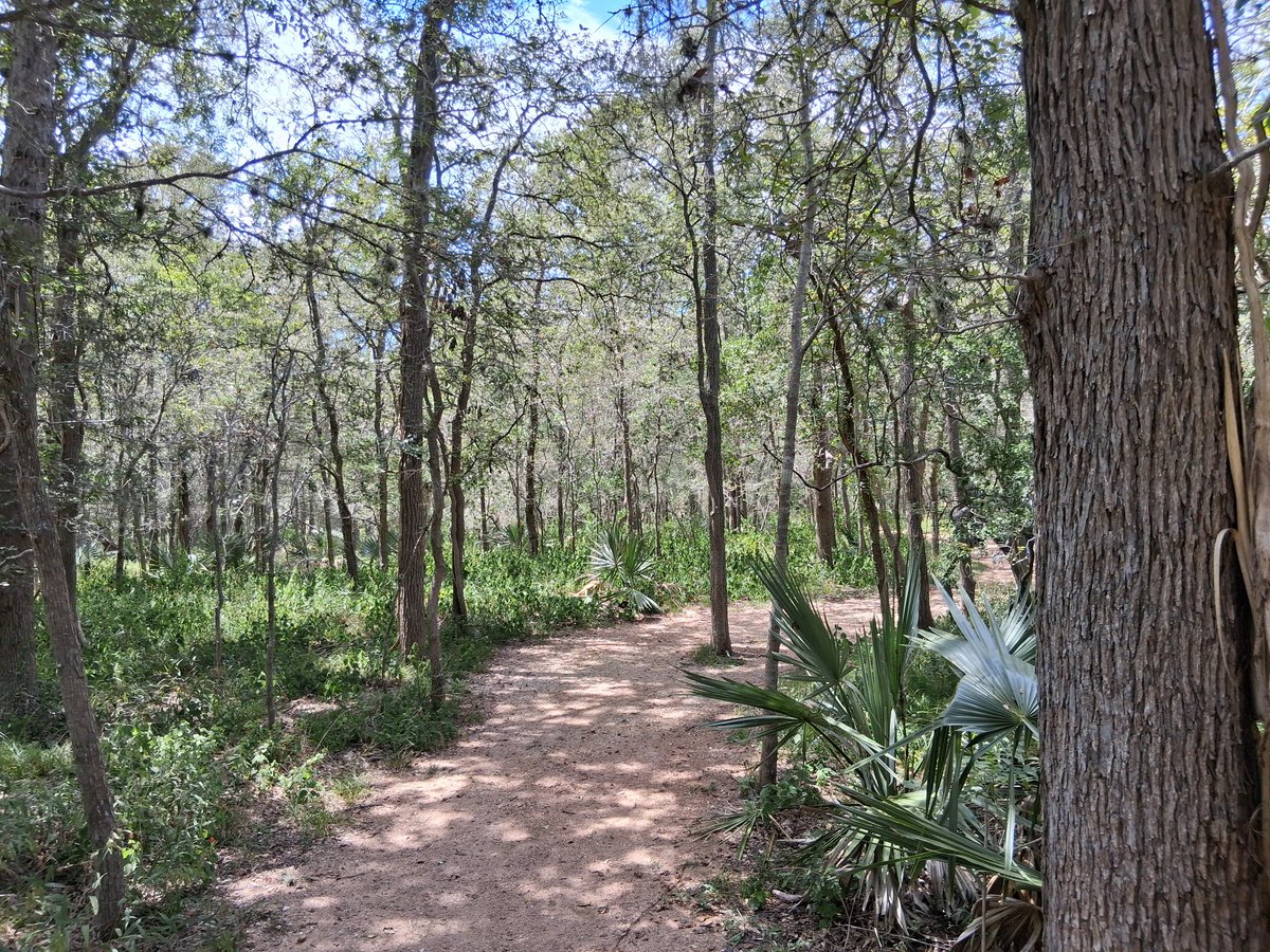 Megadromeas's tweet photo. Adventures in the Texas hill country https://t.co/YQVE98qGwZ