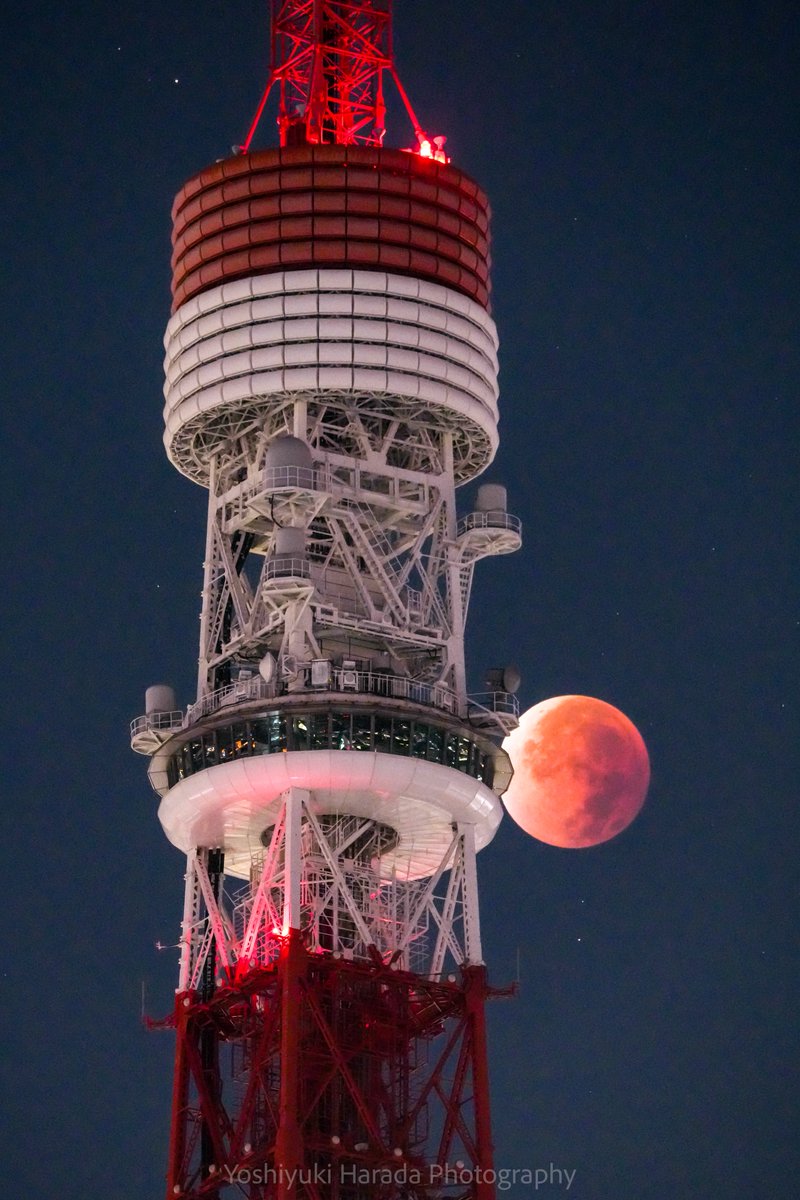 皆既月食の夜
東京タワー展望台からお月様に手が届きそうだった