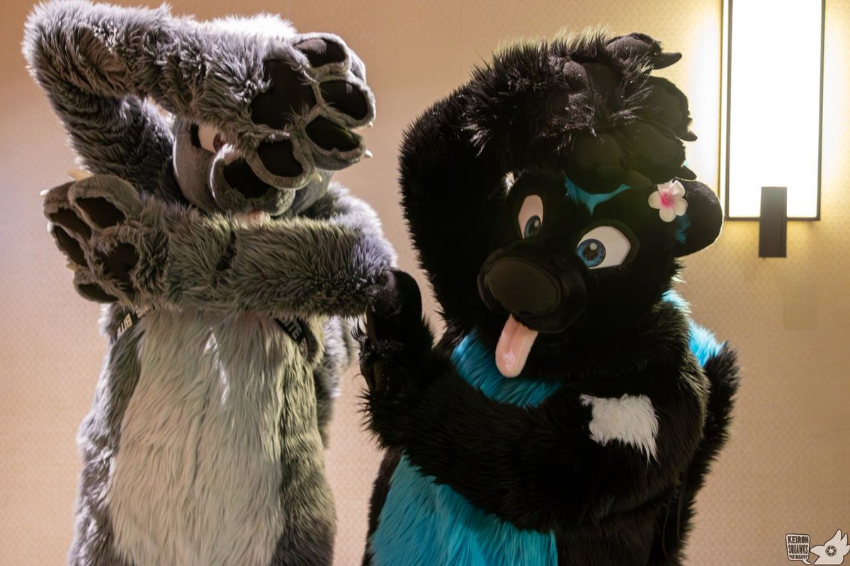 pinustudios's tweet photo. TFW you've been playing Just Dance for 3 hours but you don't wanna stop ๐๐บ
#Fursuit #PinuStudios https://t.co/5ajgeONWPF