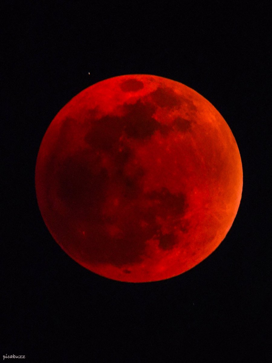 picabuzz's tweet image. Blood moon  #LunarEclipse #BloodMoon 

Shot on Nikon Coolpix p1000