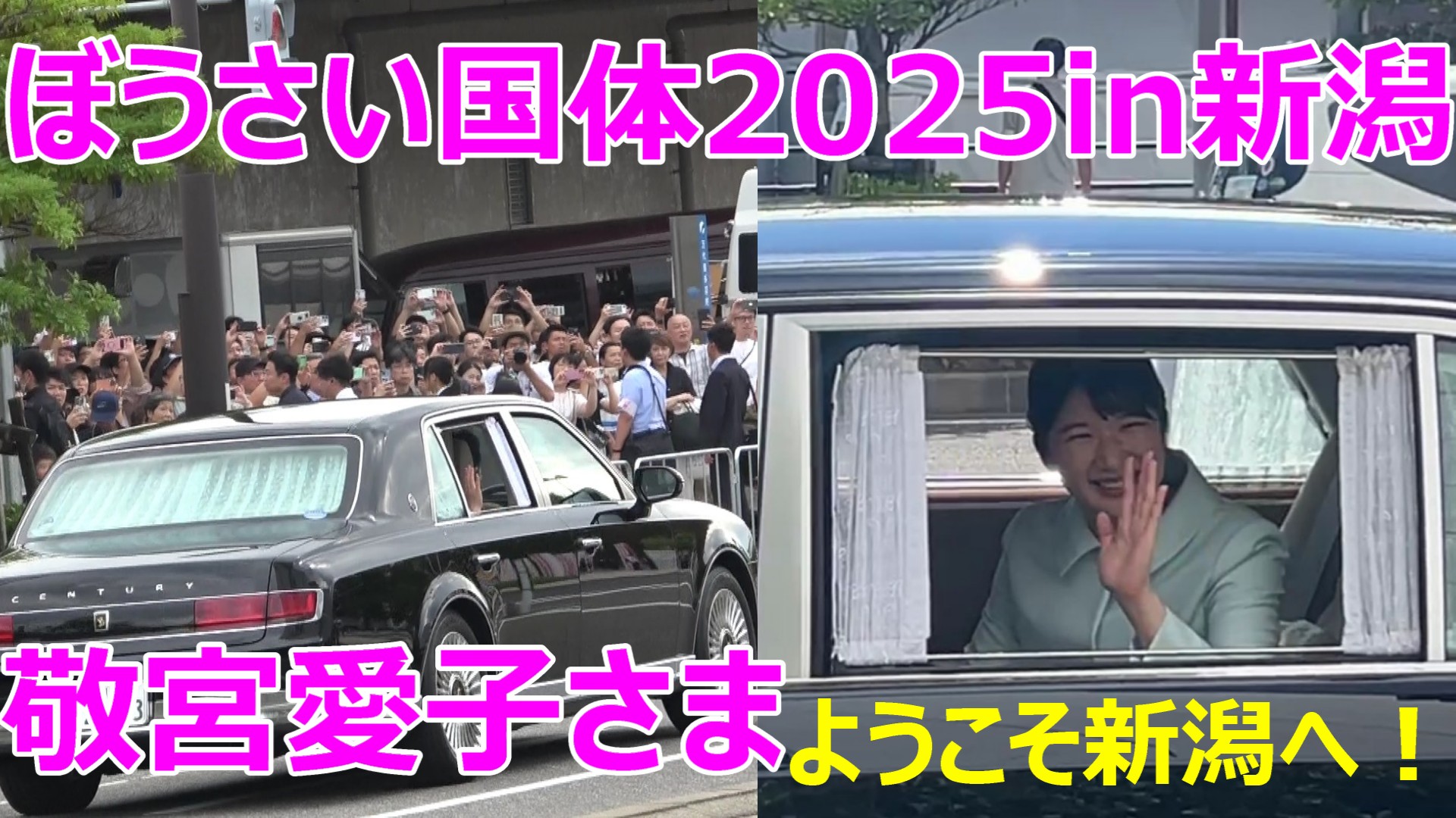 Team浮き輪っち on X: 