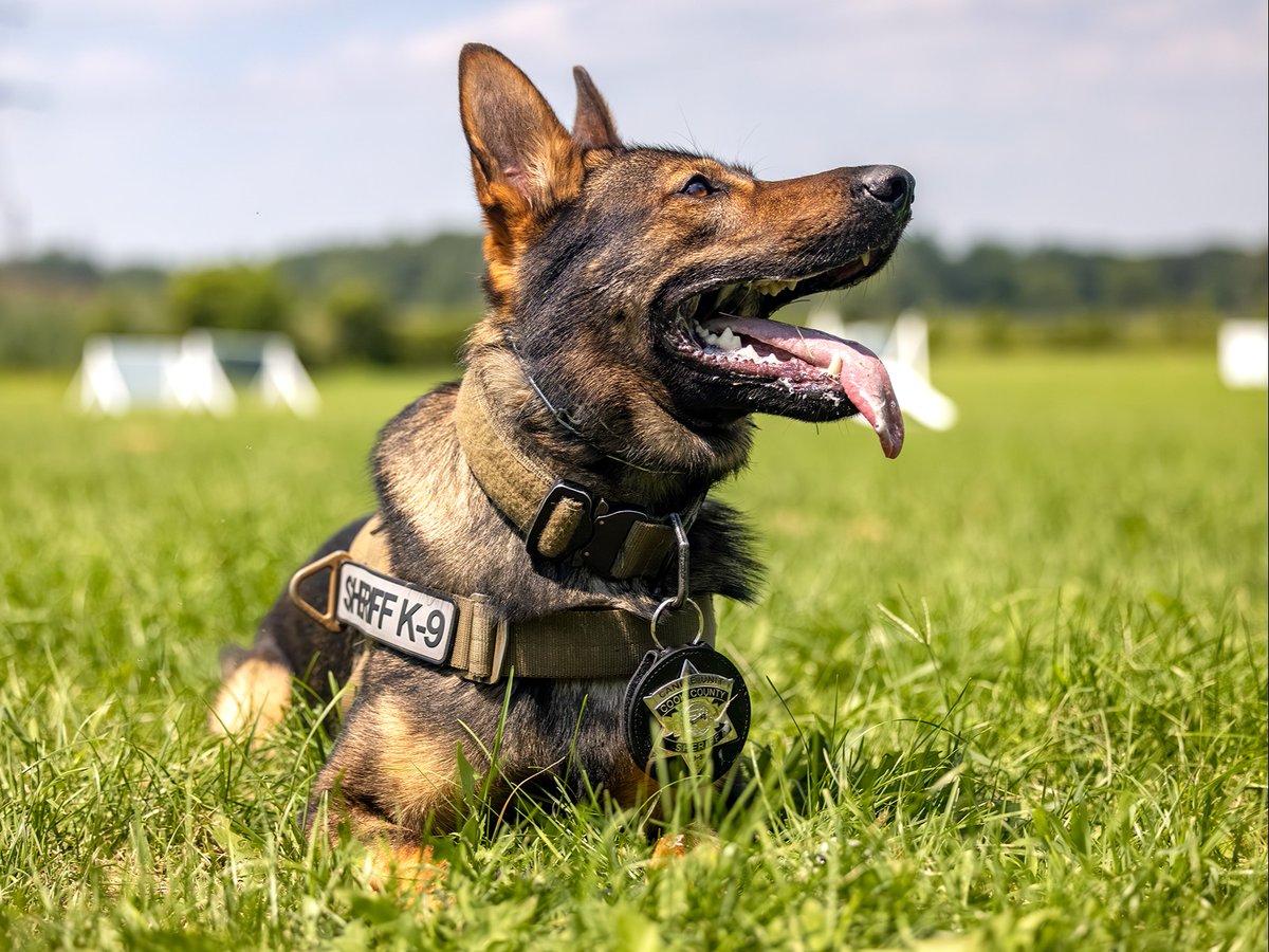 Cook County Sheriff's Office tweet media