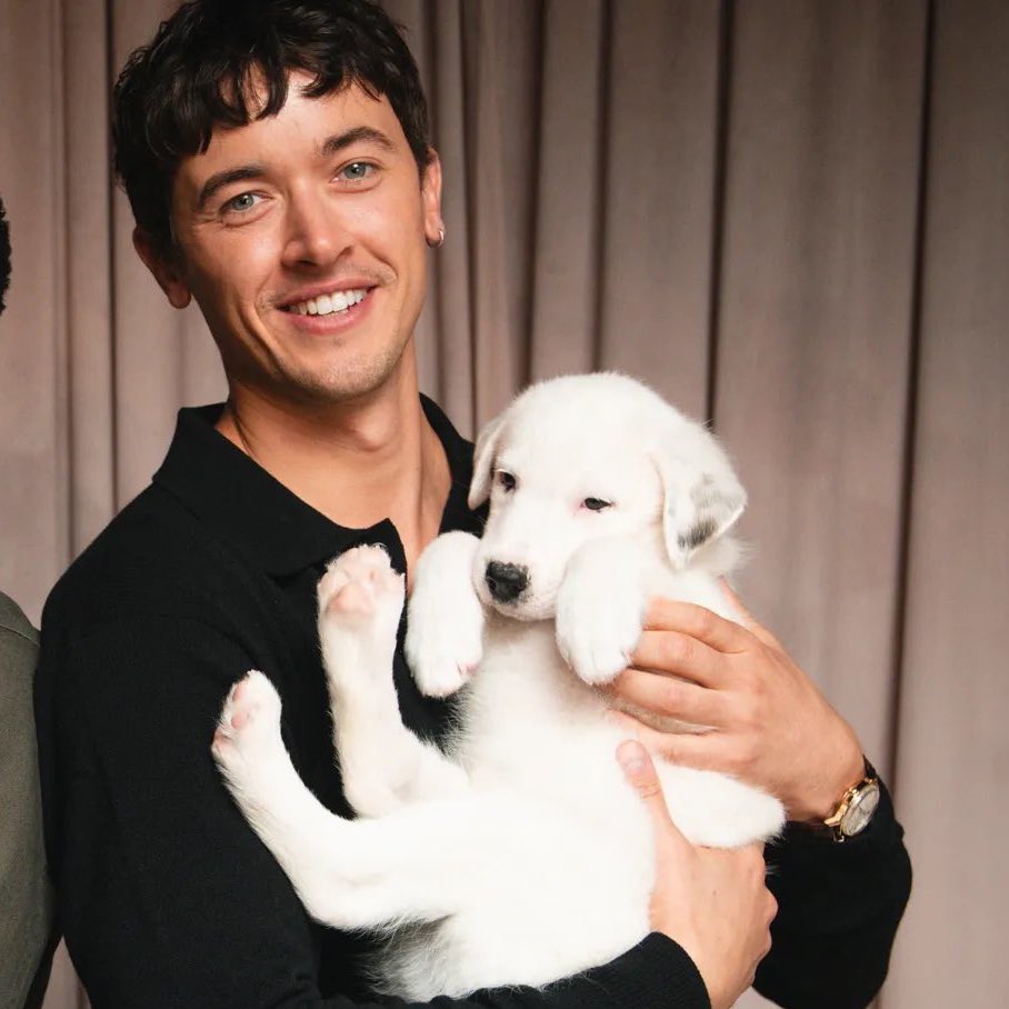 bomtlyth's tweet image. oh to be this puppy