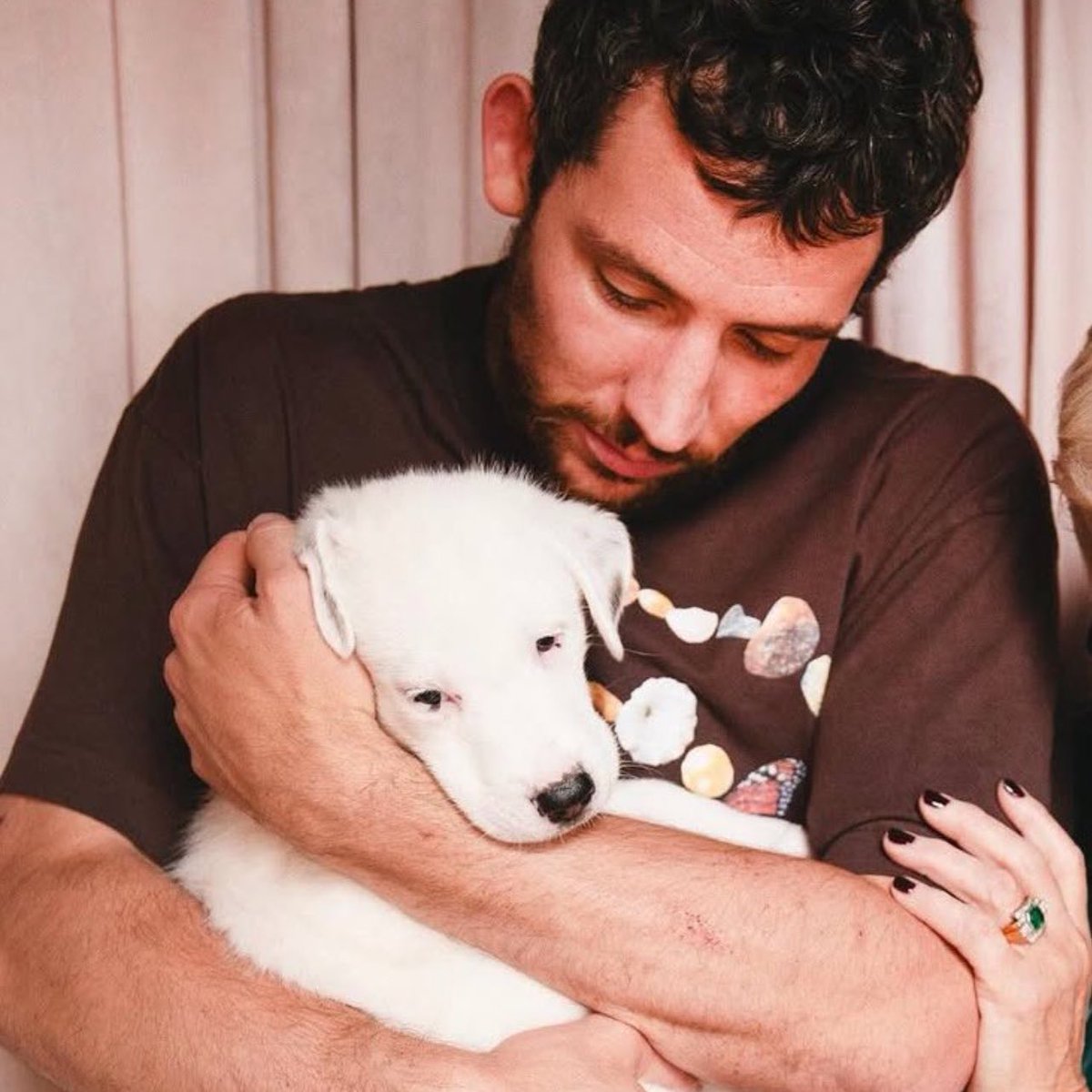 bomtlyth's tweet image. oh to be this puppy