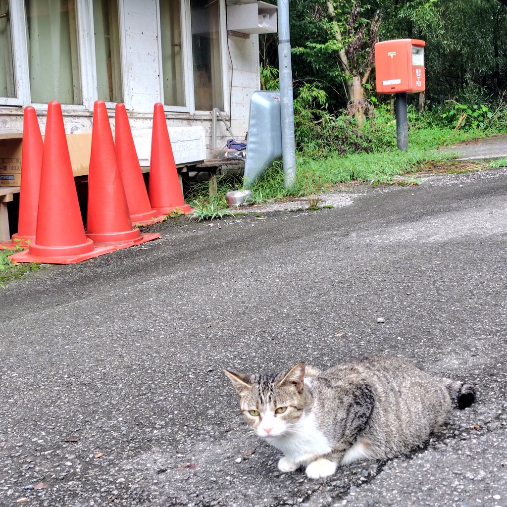 ひさ🐱🐾ぴこ
#雪彦山
#鳥居