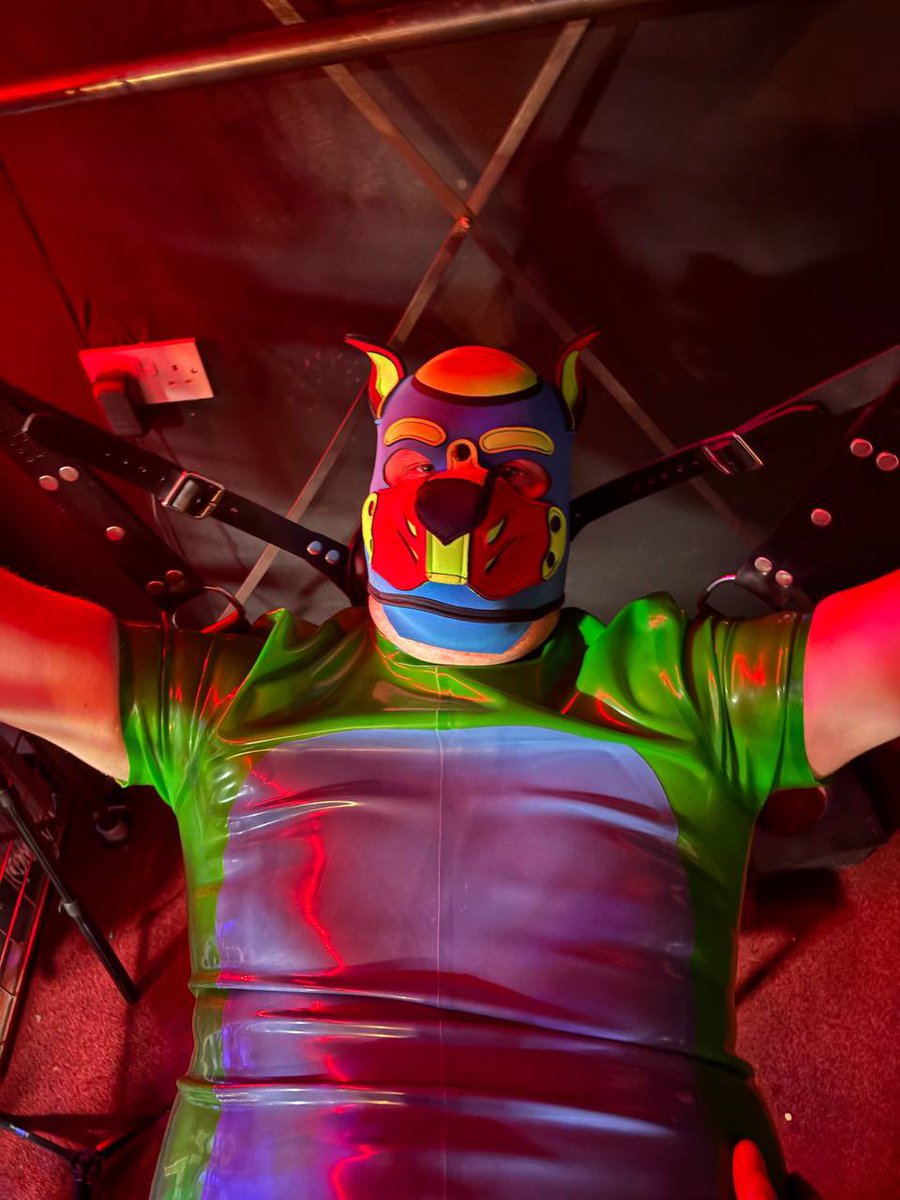 Oh look puppy is a bit tied up in the new sling <a href="/PainPalace/">Pain Palace Studios</a>, what ever is going to happen 😈😈