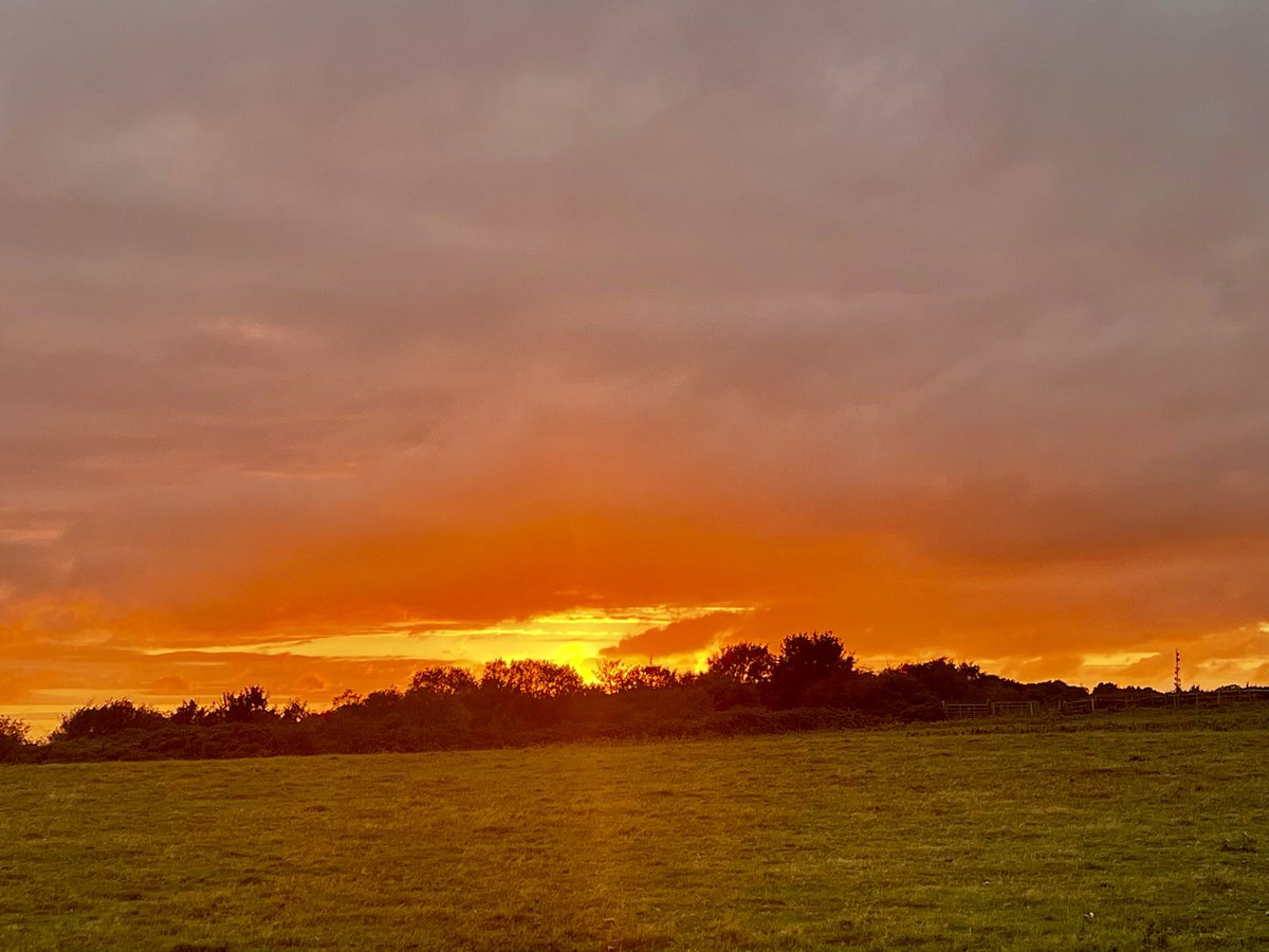 Up on the #Firehills #HastingsCountryParkNatureReserve at #Sunset 🔥 waiting for the #LunarEclipse 🌚