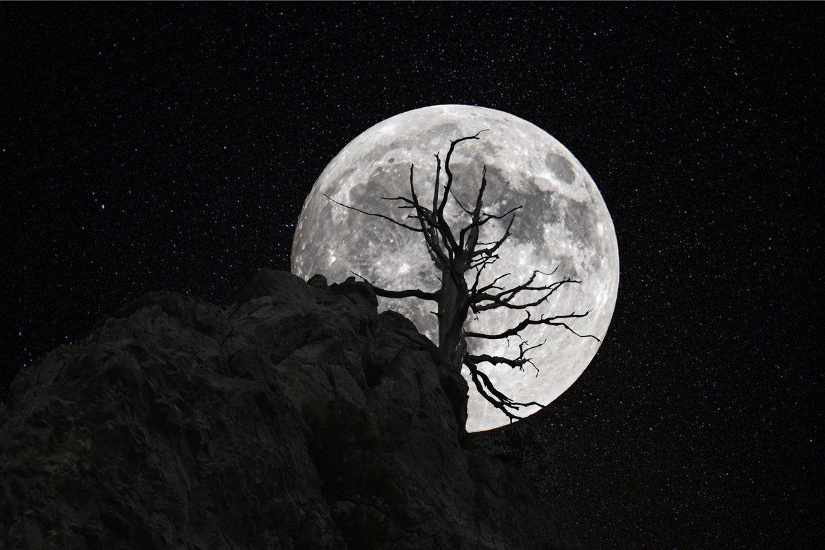 FULL MOON SHOT
I saw this tree on Thu and immediately thought of the upcoming full moon. Lo and behold, it lined up perfectly.  I had about 5 mins to take shots. I had to adjust the tripod for each shot.
#moon #fullmoon #rockcanyon #photography #nightsky #utphoto #utwx #weather