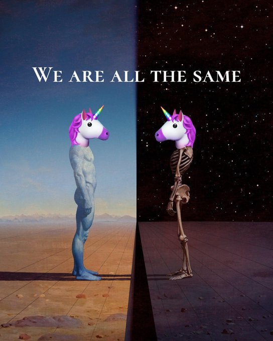 smoothiepool tweet media