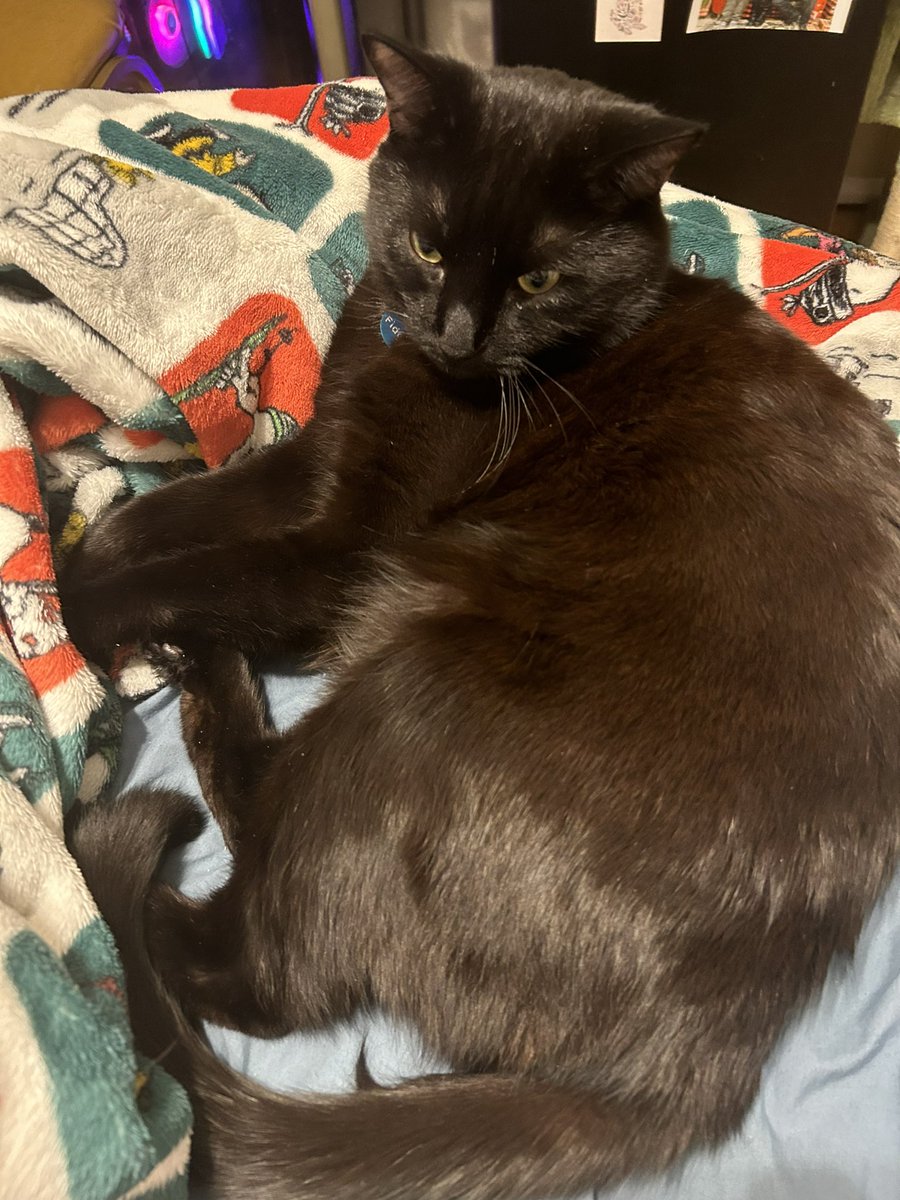 Have a Fidget as you scroll, viewer