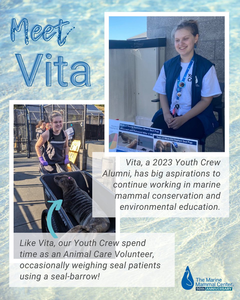 TMMC's tweet photo. Vita says of her time in #YouthCrew, “I honestly can't imagine my life without the Center, it has changed the way I view #AnimalRehabilitation, life and death, #conservation and even #education.” 🥰 Interested in Youth Crew? Apply by Sept 9 ➡️ https://t.co/g9MGxSXQGz. #Volunteer https://t.co/PtkKIfBdIf