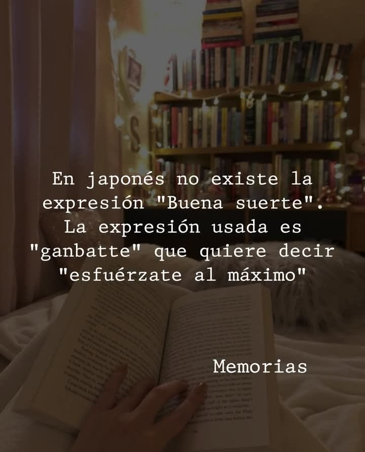 Disciplina (@eligedisciplina) on Twitter photo 